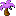 lemp icon